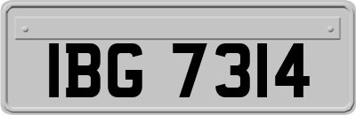 IBG7314