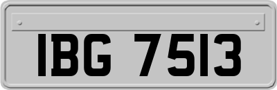 IBG7513