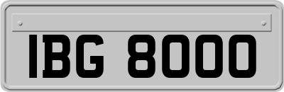 IBG8000