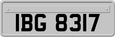 IBG8317