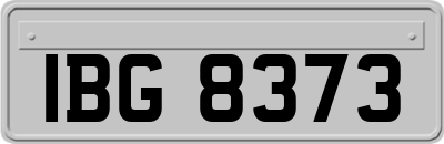 IBG8373