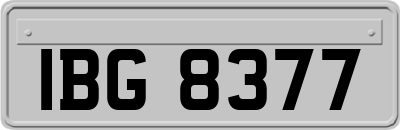 IBG8377