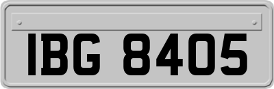 IBG8405