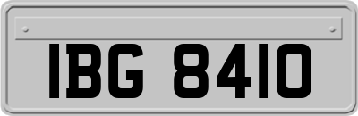 IBG8410