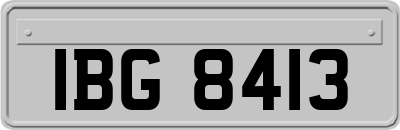 IBG8413