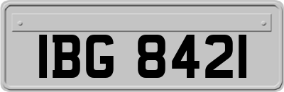 IBG8421