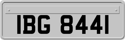 IBG8441