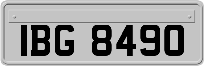 IBG8490