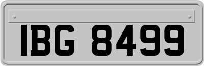 IBG8499