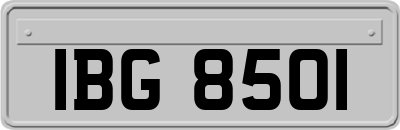 IBG8501