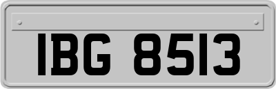 IBG8513