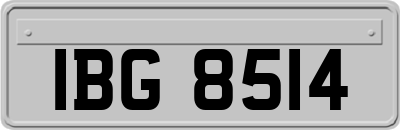 IBG8514