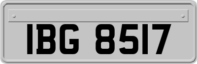 IBG8517