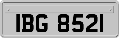 IBG8521