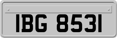 IBG8531