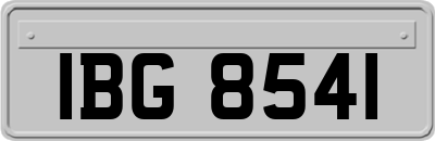 IBG8541