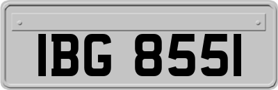 IBG8551