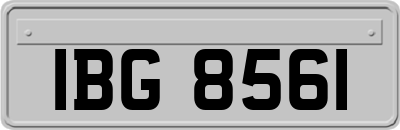 IBG8561