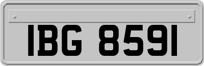 IBG8591