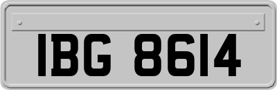 IBG8614