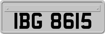 IBG8615