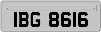 IBG8616