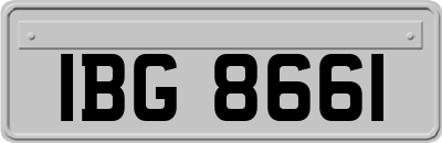 IBG8661