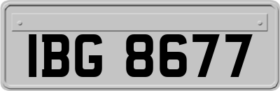 IBG8677