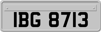 IBG8713