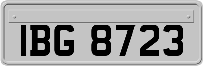 IBG8723