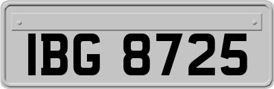 IBG8725