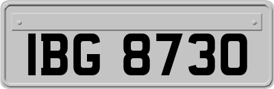 IBG8730