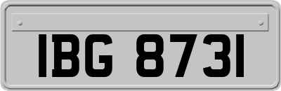 IBG8731