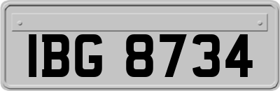 IBG8734