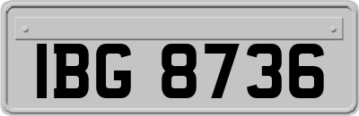 IBG8736