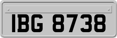 IBG8738