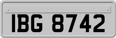 IBG8742