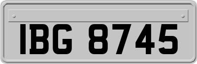 IBG8745