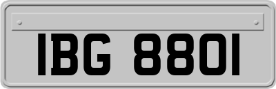 IBG8801