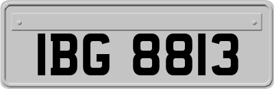 IBG8813