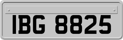 IBG8825