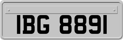 IBG8891