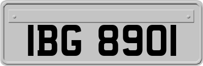 IBG8901