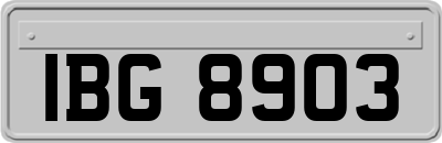 IBG8903