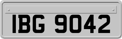 IBG9042