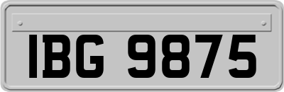 IBG9875