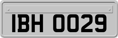 IBH0029