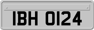 IBH0124