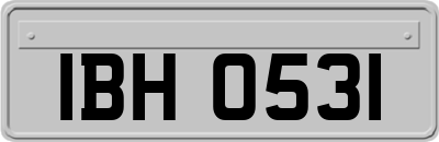 IBH0531