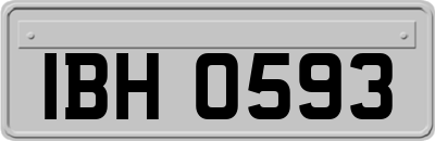 IBH0593